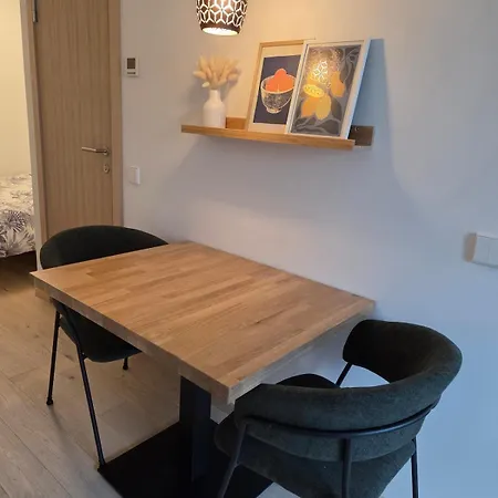 Brooklyn Style With Private Entrance アパート タリン